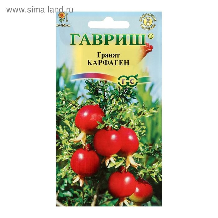Семена комнатных цветов Гранат Семена комнатных цветов Гранат "Карфаген", 5 шт.