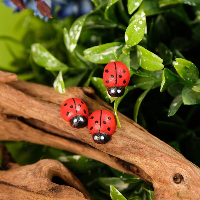 Декор флористический «Божьи коровка», 38 шт.,13 х 11 мм Декор флористический «Божьи коровка», 38 шт.,13 х 11 мм
