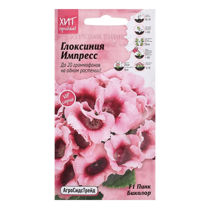 Семена цветов Глоксиния  Семена цветов Глоксиния "Импресс F1 Пинк Биколор", 5 шт