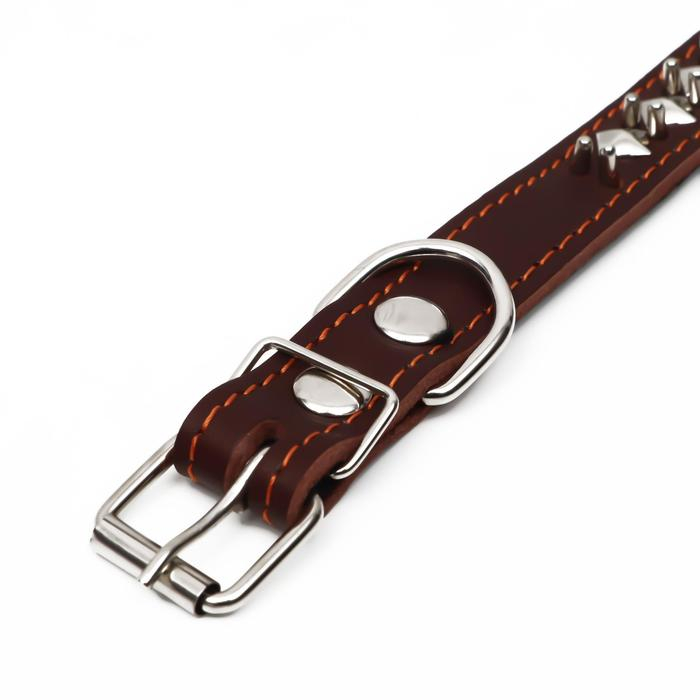Ошейник кожаный на синтепоне Ошейник кожаный на синтепоне "Ёж", 56 х 2.5 см, ОШ 35-45 см, коричневый