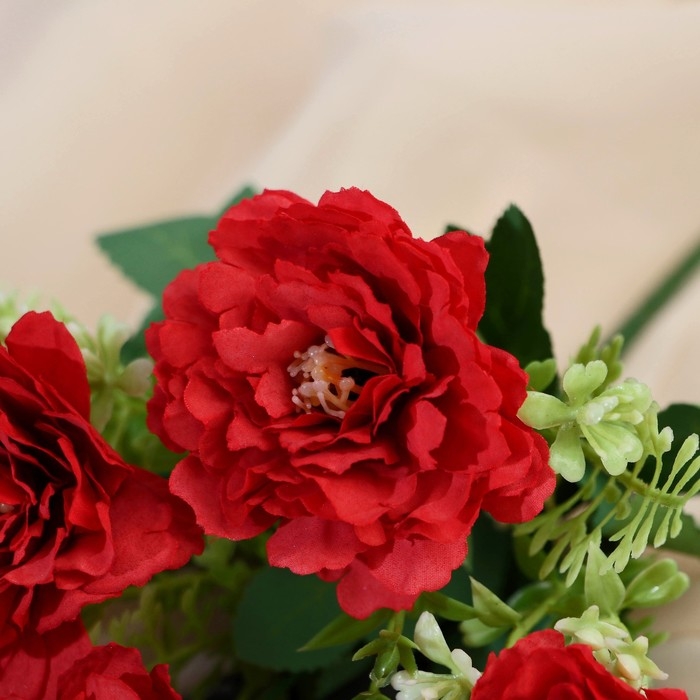 Букет Букет "Фиалка Ле Далия" 7х26 см, микс