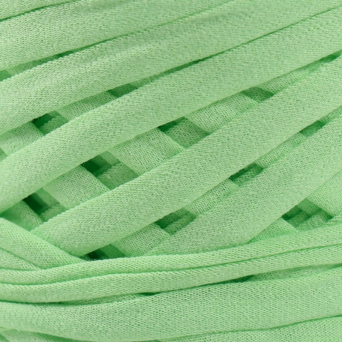 Трикотажная пряжа, ширина 7-9 мм, 100м/295 гр±10% (21 - фисташка)