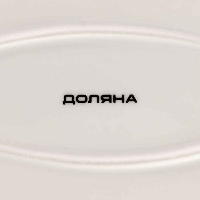 Блюдо фарфоровое Доляна «Млечный путь», 29,5×17,5 см, цвет белый в крапинку