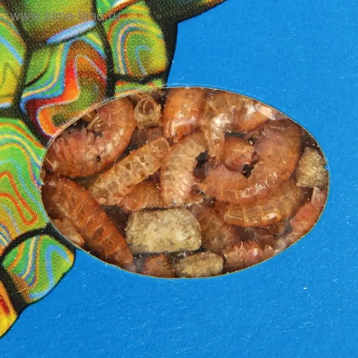 Корм ЗООМИР  Корм ЗООМИР "Торти" для черепах, коробка, 15 г.