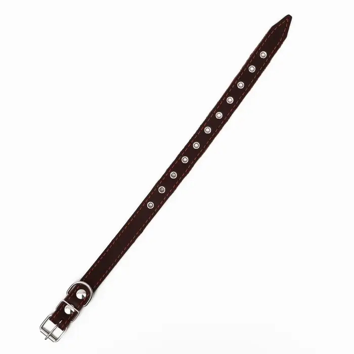 Ошейник однослойный, безразмерный, 56&times;2.5 см, ОШ 17-44 см, кожа, коричневый