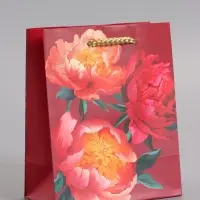 Пакет подарочный "Яркий акцент" ламинированый 11,5 х 14,5 х 6,5 см