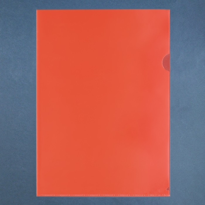 Набор папок-уголков А4, 100 мкм, Calligrata Выгодные, прозрачные, 5 штук, микс Набор папок-уголков А4, 100 мкм, Calligrata Выгодные, прозрачные, 5 штук, микс