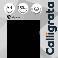 Папка уголок А4 180 мкм, Calligrata DeLuxe, черный, непрозрачный, с тиснением