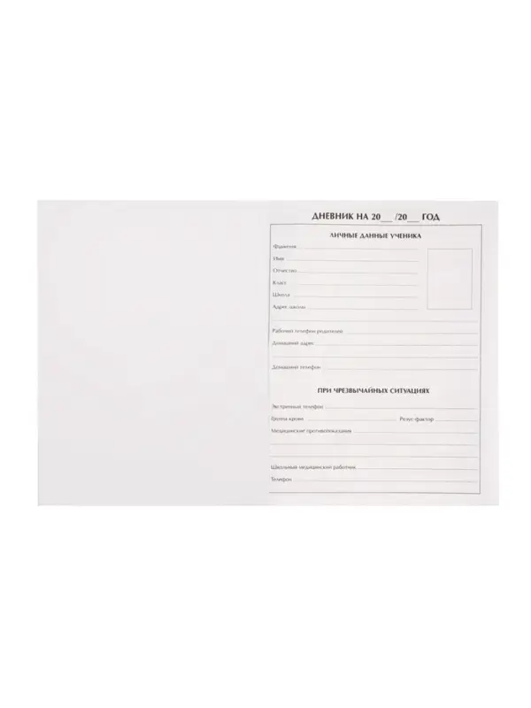 Дневник школьный для 1-11 классов, &laquo;Аниме. Мальчик&raquo;, твёрдая обложка 7БЦ, глянцевая ламинация, 40 листов