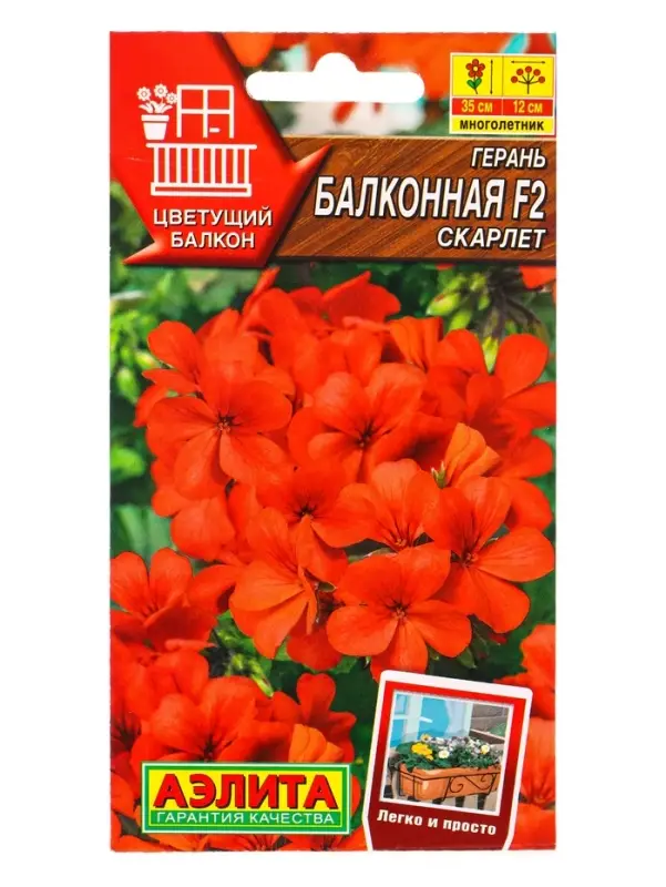 Семена цветов Герань Балконная скарлет F2 Мн Цветущий балкон, Ц/П,5 шт. Семена цветов Герань Балконная скарлет F2 Мн Цветущий балкон, Ц/П,5 шт.