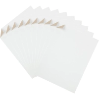 Картон белый Выбор Есть 10л А4 немелован папка