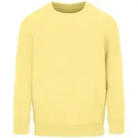 Свитшот детский Columbia Kids, светло-желтый, на рост 96-104