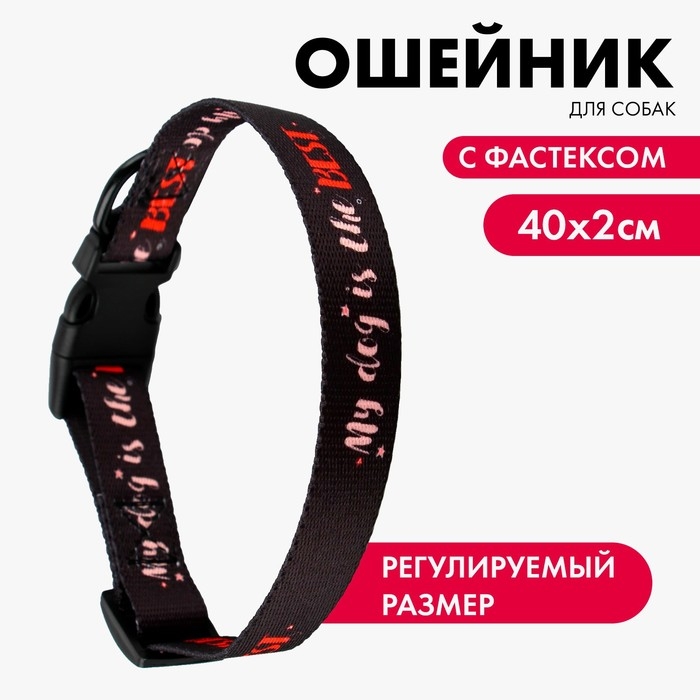 Ошейник My dog is the best, застёжка - фастекс, 2 см 25-40 см Ошейник My dog is the best, застёжка - фастекс, 2 см 25-40 см