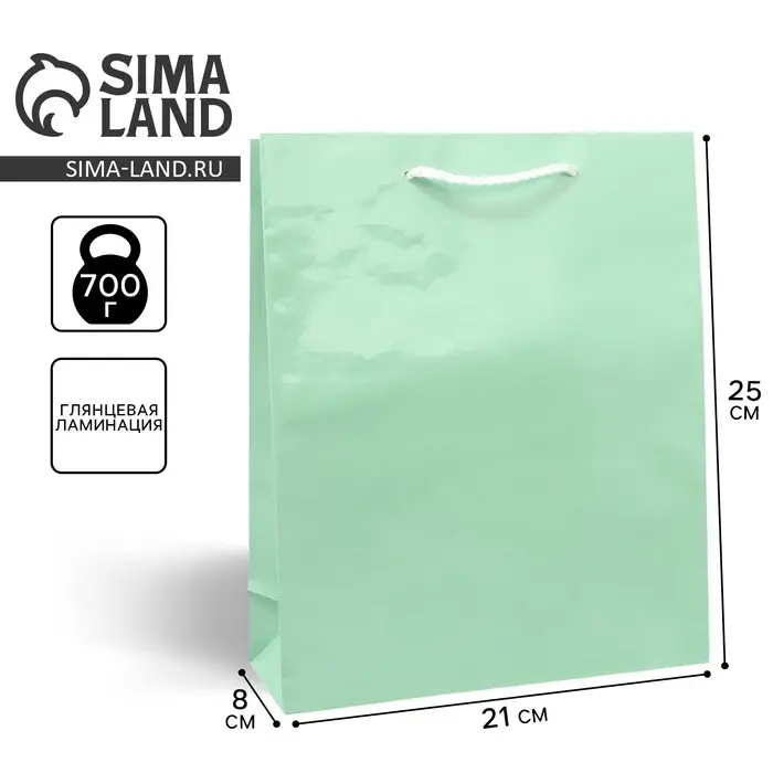 Пакет подарочный ламинированный, упаковка, «Зелёный», ML 21 х 25 х 8 см