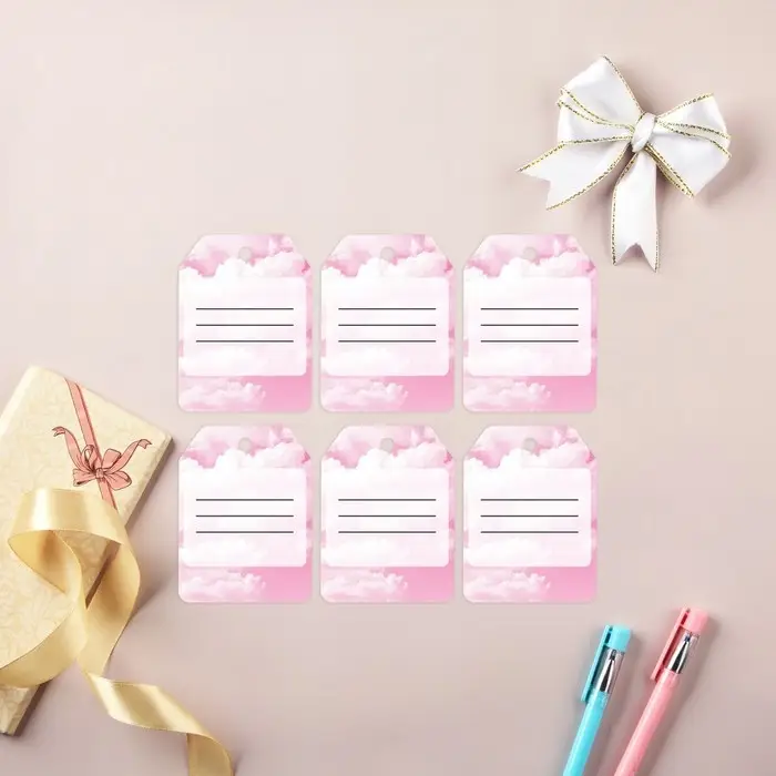 Шильдики на подарки &laquo;Лучшие подружки&raquo;, 16&times;24 см, 6 шт.