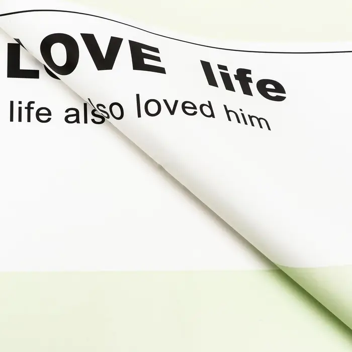 Пленка для цветов Пленка для цветов "Любовь..", 58×58 см, зелёная