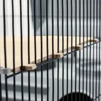 Клетка для шиншилл &laquo;Пижон&raquo; №11, складная, 80&times;50&times;46 см, серая