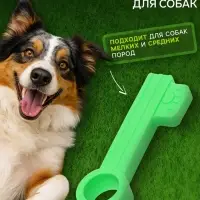 Жевательная игрушка для собак &laquo;Ключик&raquo;, 10 см, TPR, зелёная