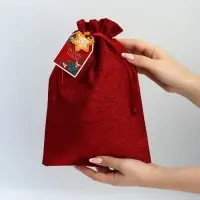 Набор мешков «С Новым годом!», 20 × 30 см