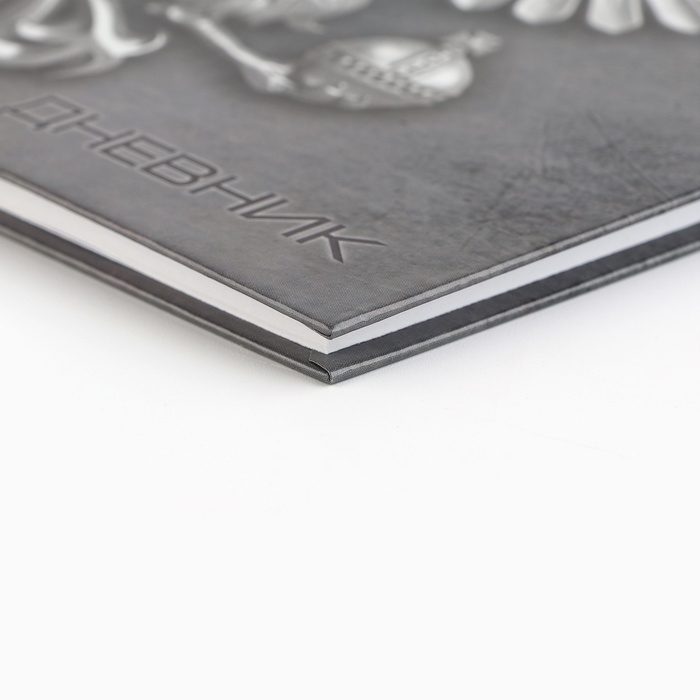 Дневник школьный 5-11 класс, в твердой обложке, 48 л. &laquo;Россия&raquo;