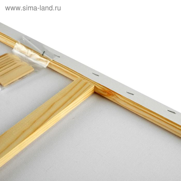 Холст на подрамнике, хлопок 100%, 60 х 80 х 2 см, акриловый грунт, мелкозернистый, 280 г/м² Холст на подрамнике, хлопок 100%, 60 х 80 х 2 см, акриловый грунт, мелкозернистый, 280 г/м²