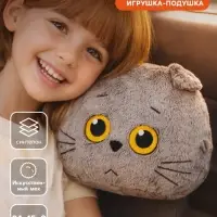 Мягкая игрушка &laquo;Автомобильная подушка кот Басик&raquo;, 24&times;15&times;8 см