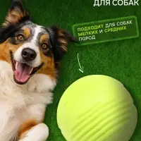 Мяч для собак &laquo;Суперпес&raquo;, 6.5 см, рифленый, TPR, жёлтый