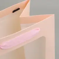 Пакет подарочный вертикальный, с окном, 30&times;20&times;16 см, розовый