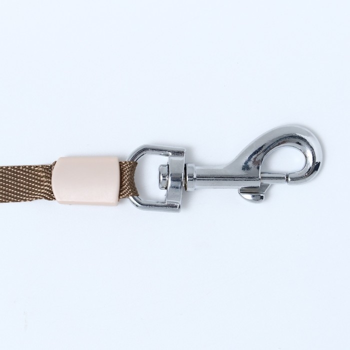 Рулетка с системой эффективного скручивания поводка, 5 м, до 20 кг, бежево-зелёная Рулетка с системой эффективного скручивания поводка, 5 м, до 20 кг, бежево-зелёная