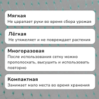 Сетка садовая, мягкая, 5 × 2 м, ячейка 8 × 8 мм, от птиц, Greengo