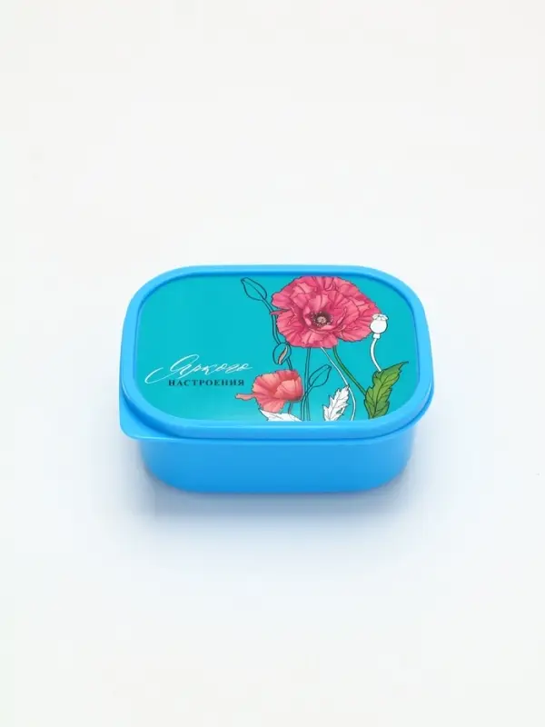 Ланч - бокс прямоугольный &laquo;Яркого настроения&raquo;, 500 мл