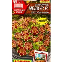 Семена цветов Мимулюс Медиус F1 протуберанцы (драже) С. Cerny Цветущий балкон, Ц/П,10 шт. Семена цветов Мимулюс Медиус F1 протуберанцы (драже) С. Cerny Цветущий балкон, Ц/П,10 шт.