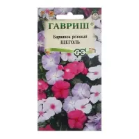 Семена комнатных цветов Барвинок "Щеголь", ц/п,  0,05 г