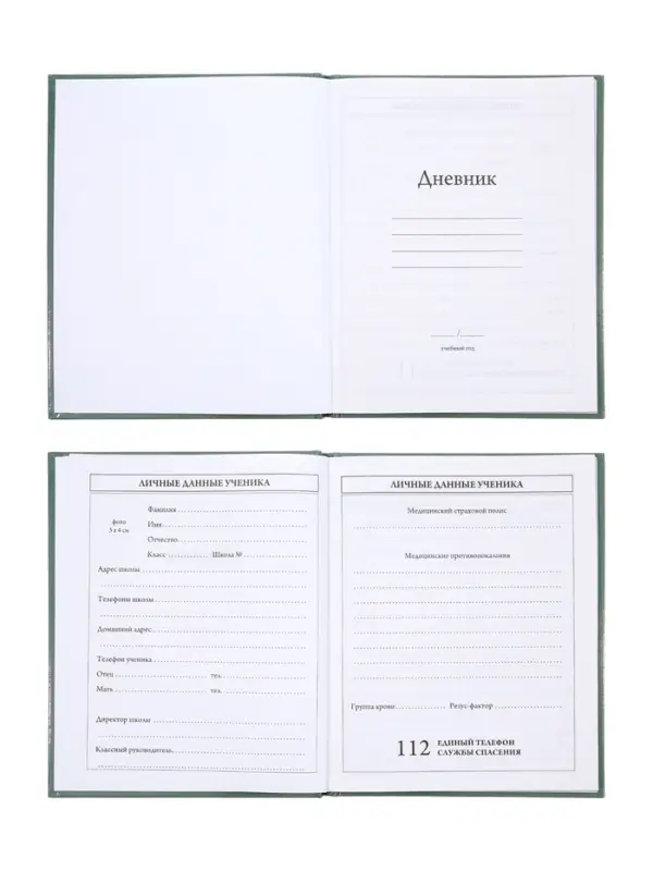 Дневник школьный для 1-4 классов, &laquo;Бездорожье&raquo;, твёрдая обложка 7БЦ, глянцевая ламинация, 48 листов