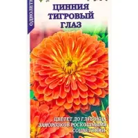 Семена Цинния Тигровый глаз /Сотка/ 0,2г/ оранж. h-80см, d-15см/*1000 Семена Цинния Тигровый глаз /Сотка/ 0,2г/ оранж. h-80см, d-15см/*1000