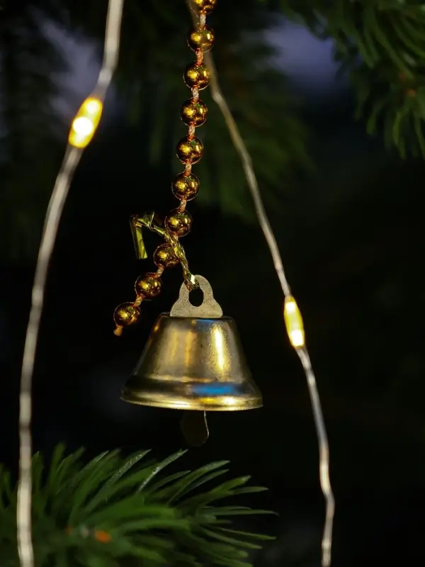 Дед Мороз "В шубке, на верёвочке" 25х13 см, 100 см, движение, музыка, красный