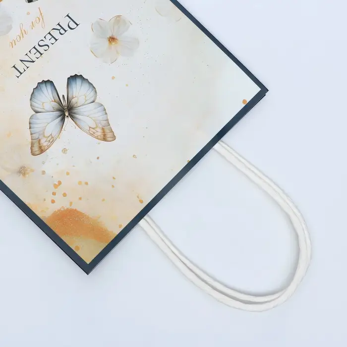 Пакет подарочный крафтовый Present for you 15×21×8 см, 120 г/м² Пакет подарочный крафтовый Present for you 15×21×8 см, 120 г/м²