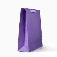 Пакет подарочный &laquo;Подарок&raquo;, голография, M 26&times;9&times;30 см