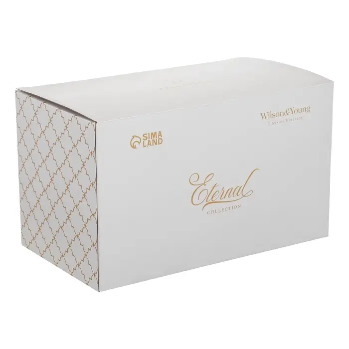 Чайный сервиз WY Eternal, 20 предметов, чайник 1 л, 6 кружек 250 мл, 6 блюдец, 6 тарелок пирожковых, фарфор