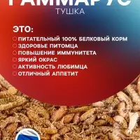 Корм для рыб и черепах &laquo;Пижон&raquo; гаммарус тушка, 100 г