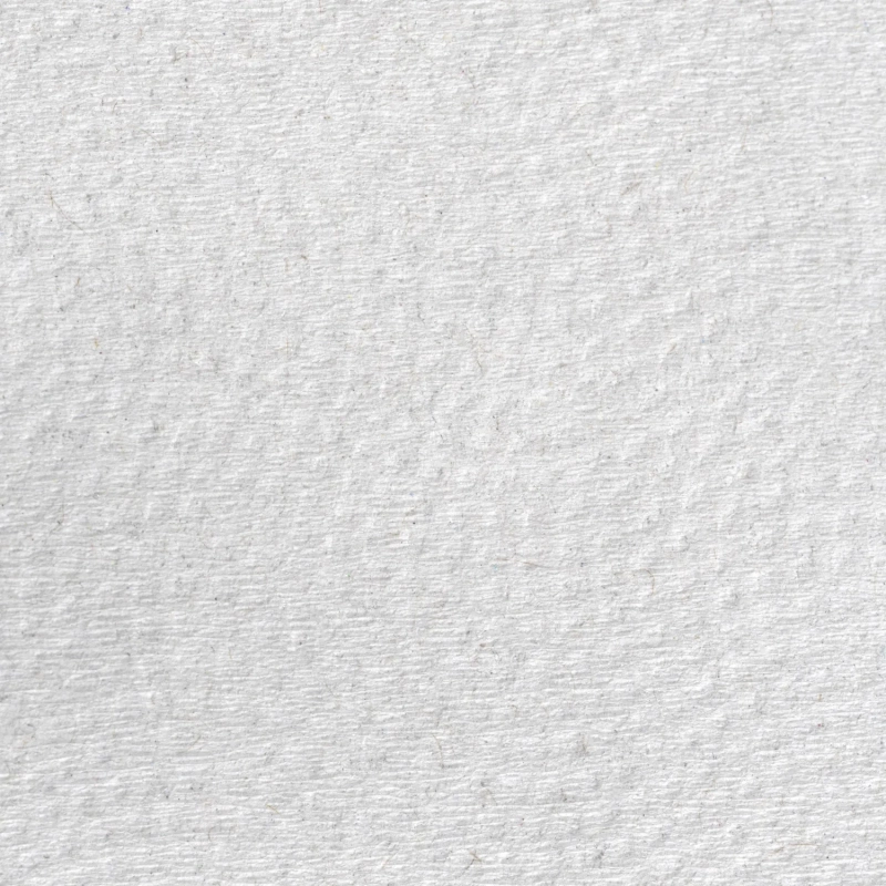 Полотенца бумажные д/дисп Выбор Есть V-слож 1сл втор 250л 20пач/уп_КЗНСПБ