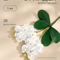 Цветы искусственные &laquo;Орхидея королевская&raquo;, 3.5&times;28 см, белые