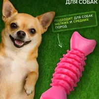 Жевательная игрушка для собак &laquo;Конфетка&raquo;, 2 см, TPR, розовая