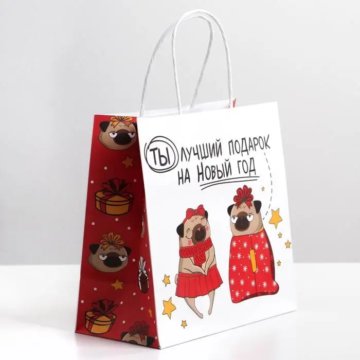Пакет подарочный новогодний «Ты - лучший подарок», 22 х 22 х 11 см