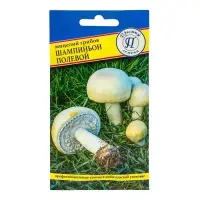 Мицелий грибов &laquo;Шампиньон Полевой&raquo;, 60 мл, &laquo;Престиж семена&raquo;