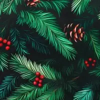 Пакет подарочный новогодний ламинированный, «Шишки» , 11.5×6.5×14.5 см Пакет подарочный новогодний ламинированный, «Шишки» , 11.5×6.5×14.5 см