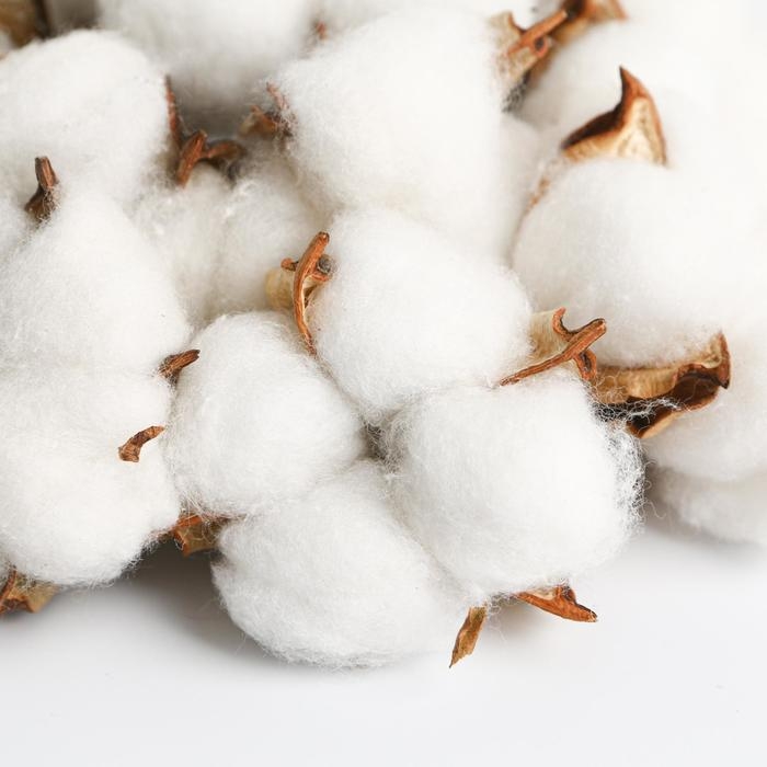 Букет из хлопка &laquo;Сливочные облака&raquo;