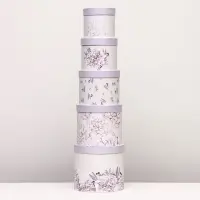 Набор шляпных коробок 5 в 1 &laquo;Астры&raquo; сиреневый, 22&times;19.5, 14&times;13 см