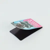 Закладки магнитные для книг, 4 шт. &laquo;Читаем вместе с енотом&raquo;