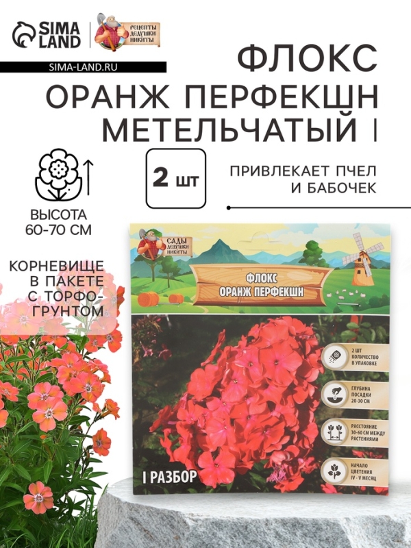 Флокс «Оранж Перфекшн» метельчатый, корневище в пакете с торфогрунтом, р-р I, 2 шт.